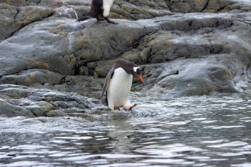 20230125T163550_0432