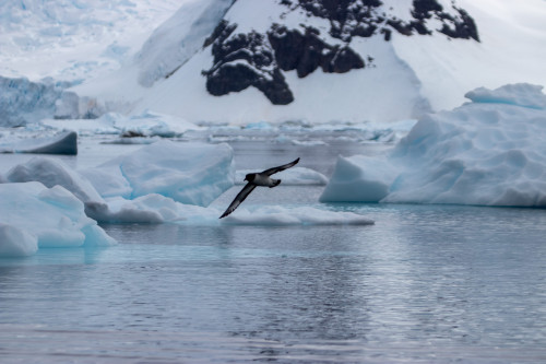 20230125T164852_0458