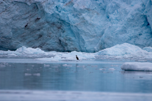 20230125T170011_0472