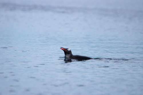 20230125T170127_0476