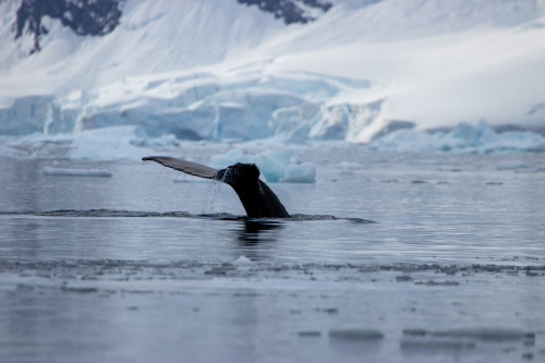 20230125T172543_0498