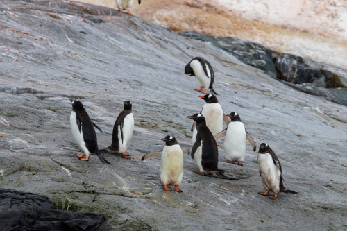 20230126T084423_0656