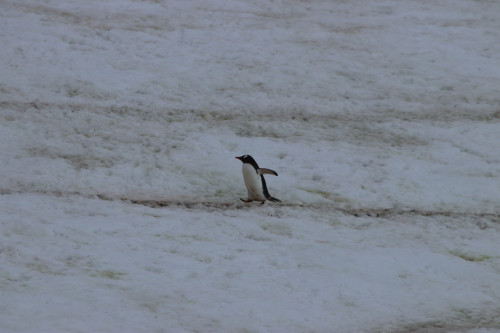 20230126T084548_0660