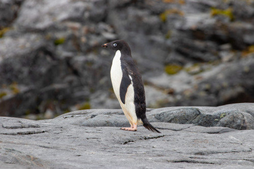 20230126T092652_0692