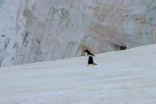 20230126T101457_0714