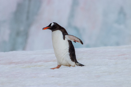 20230126T101504_0716