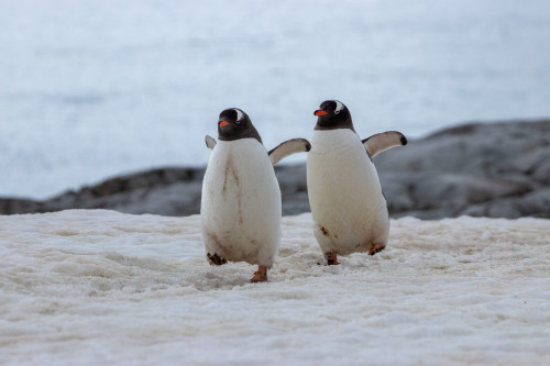 20230126T101542_0720