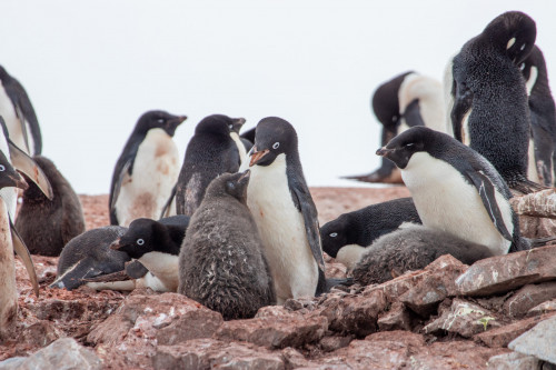 20230126T102159_0734