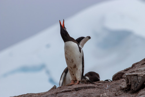 20230126T103345_0758