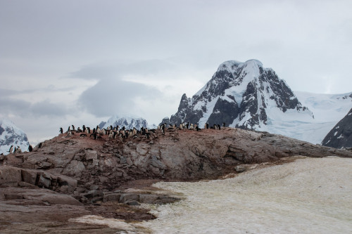 20230126T113518_0820