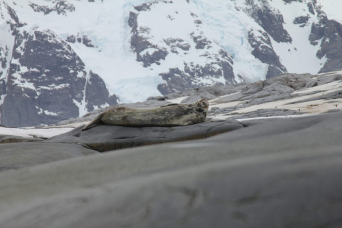 20230126T183716_0006