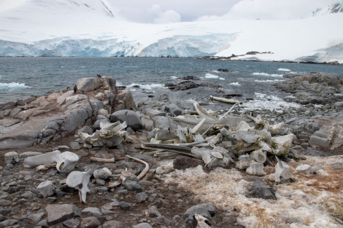 20230128T144537_0879