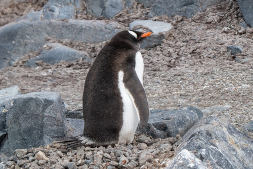 20230128T145756_0898