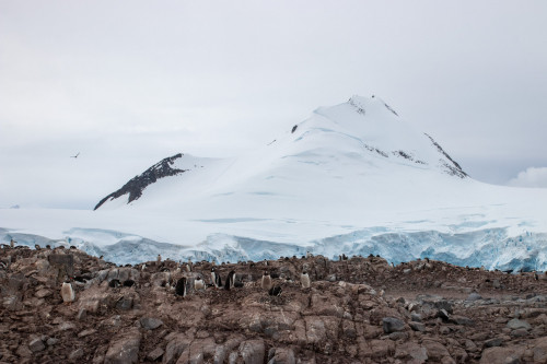 20230128T150735_0907