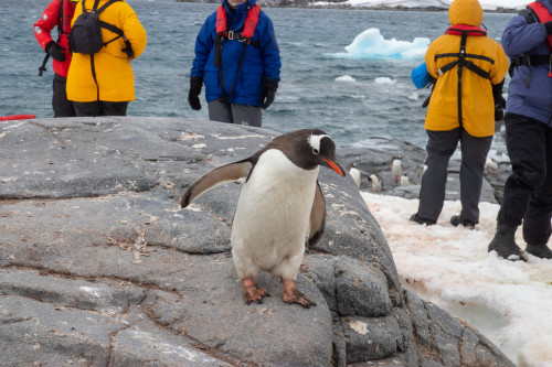 20230128T151149_0913