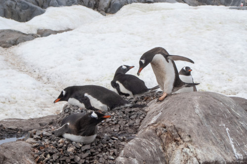 20230128T160215_0950