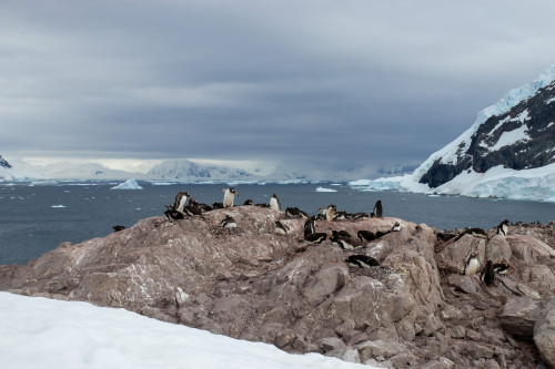 20230129T110658_1085