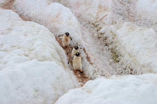 20230129T112109_1103