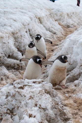 20230129T114148_1108