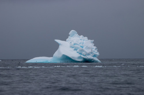 20230130T091801_1161