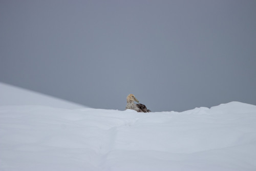 20230130T092438_1179