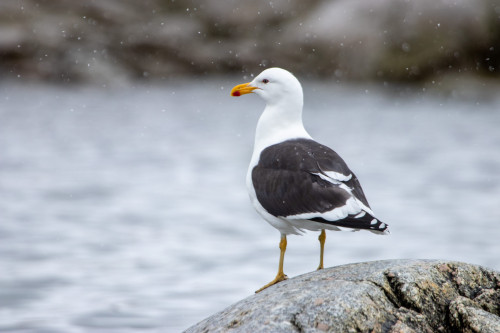 20230130T100732_1293