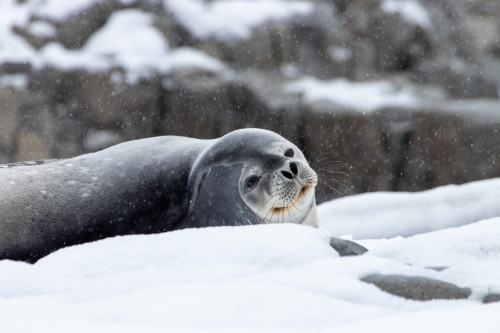 20230130T104342_1321