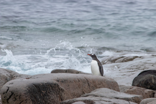 20230130T110957_1365