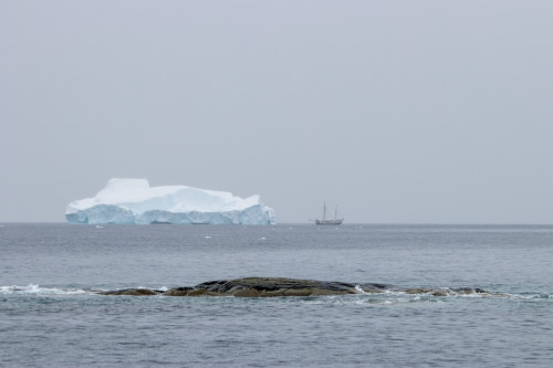 20230130T112306_1383