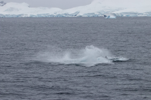 20230130T121852_1442