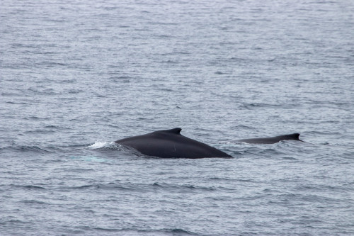 20230130T122015_1452