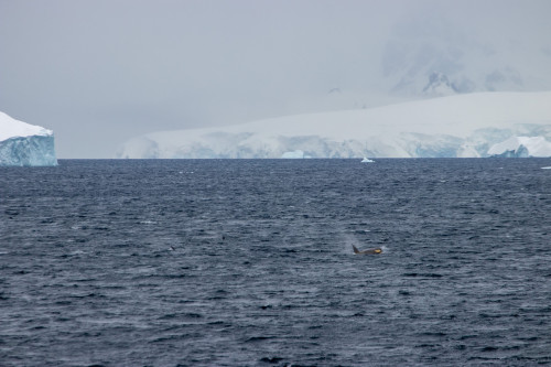 20230130T123535_1490