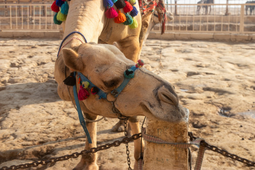 20231217T090416_0026