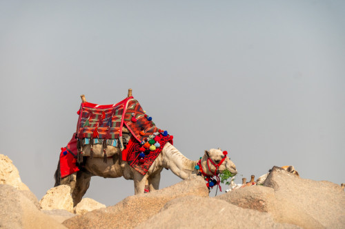 20231217T100658_0059