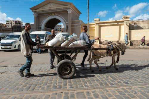 20231218T110404_0019