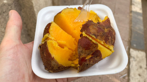 20231219T130001_0156