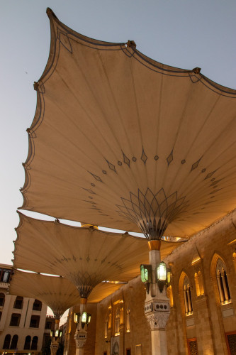 20231219T170601_0251