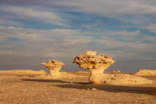 20231220T162045_0395