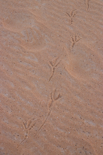 20231220T170031_0423