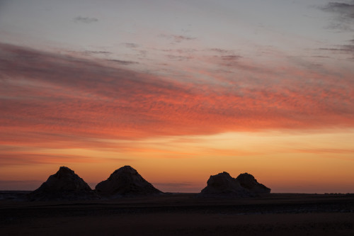 20231221T064025_0479