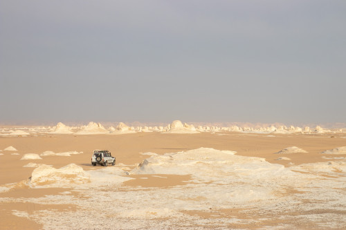 20231221T080613_0515