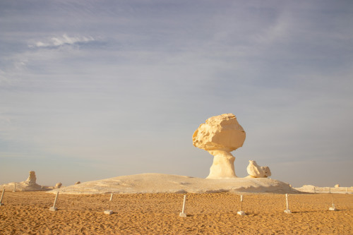 20231221T081015_0517