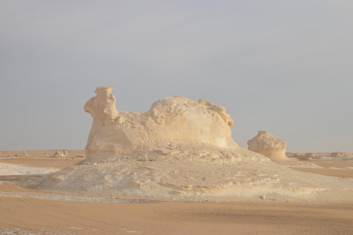 20231221T082100_0529