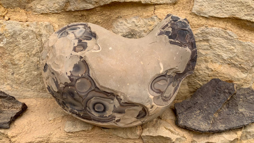 20231221T105439_0565