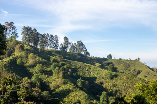 20240122T080416_0004