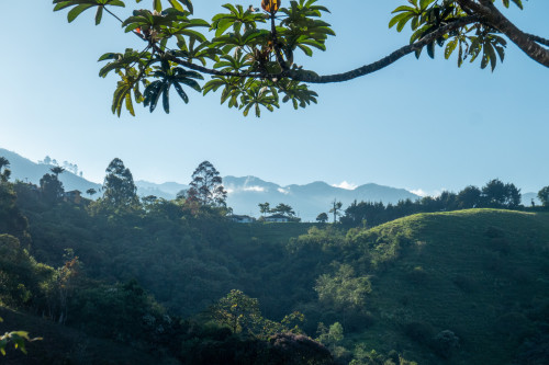 20240123T072937_1085