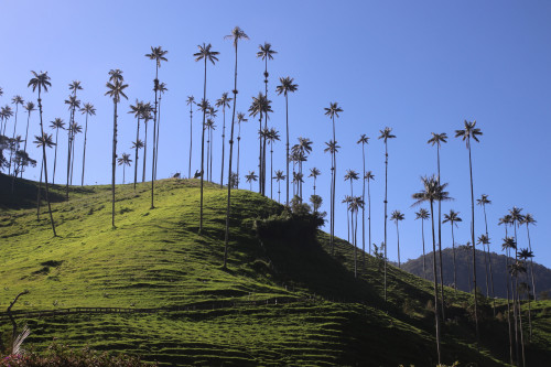 20240123T090446_0176