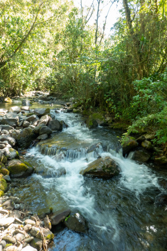 20240123T091845_1103