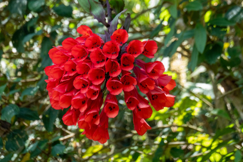 20240123T114715_1115