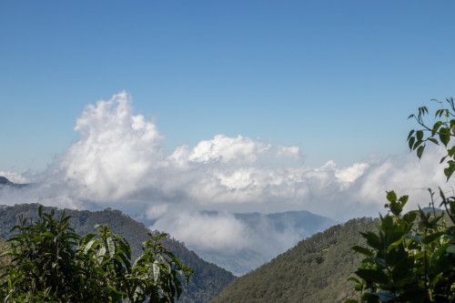 20240123T114953_0186